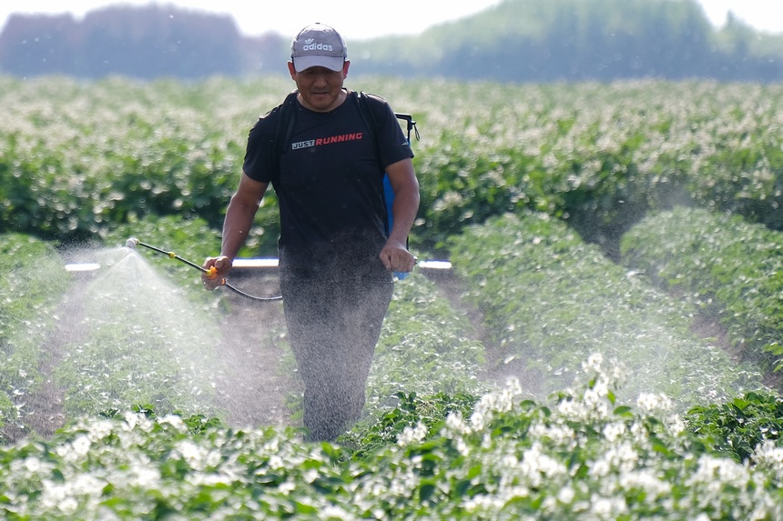 Beidahuang in NE China goes all out to manage crops in hopes of a bumper harvest