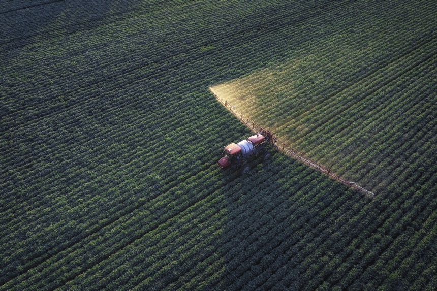 Beidahuang in NE China goes all out to manage crops in hopes of a bumper harvest