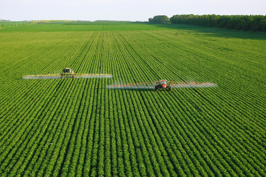 Beidahuang in NE China goes all out to manage crops in hopes of a bumper harvest