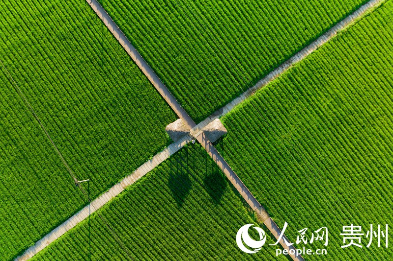 Aerial view of beautiful village in SW China’s Guizhou