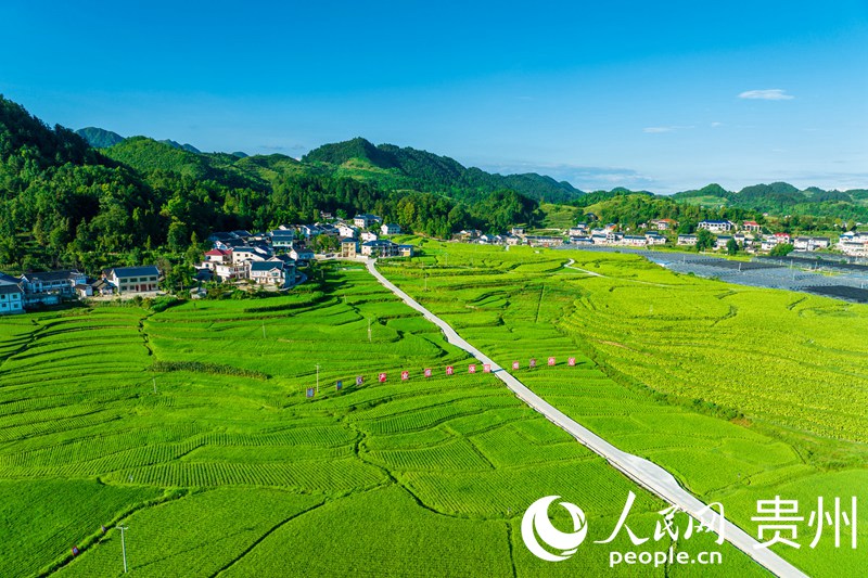 Aerial view of beautiful village in SW China’s Guizhou