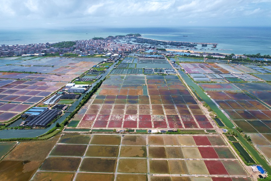 Enjoy a bird’s eye view of paint palette-like Xigang salt fields in China’s Fujian