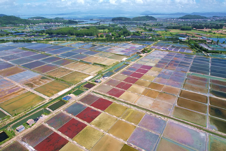 Enjoy a bird’s eye view of paint palette-like Xigang salt fields in China’s Fujian