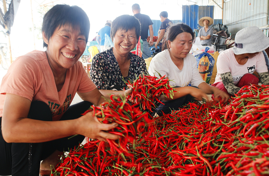 E-commerce helps promote agricultural products in central China’s Henan