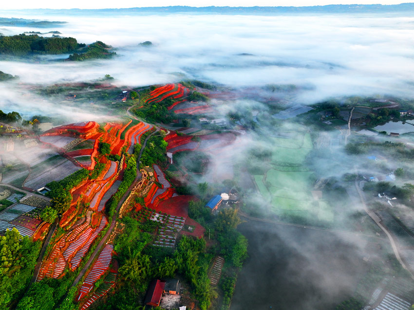 Stunning scenery of red soil terraces dazzles visitors to Rongxian in SW China