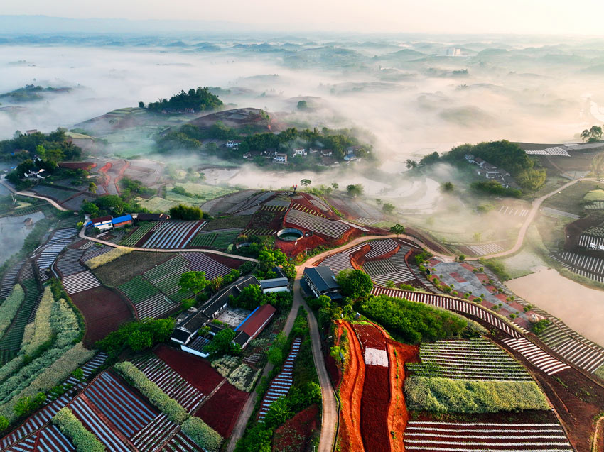 Stunning scenery of red soil terraces dazzles visitors to Rongxian in SW China