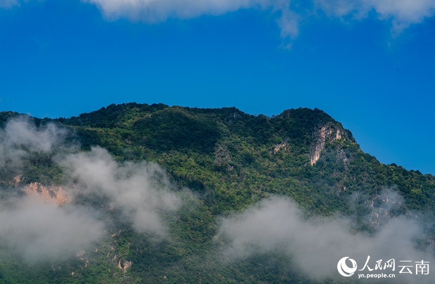 Spectacular sea of clouds appears at Pu'er Mountain in SW China's Yunnan for first time this year