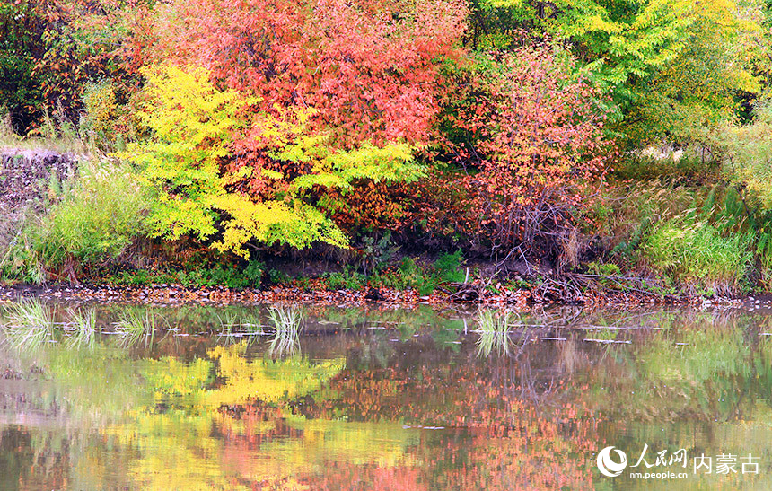 In pics: autumn scenery of Arxan city in Inner Mongolia