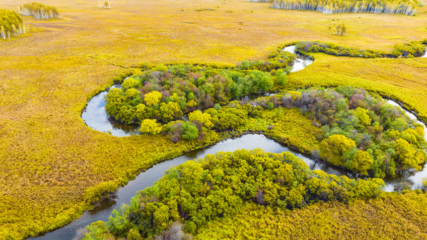 In pics: magnificent view of Greater Hinggan Mountains in NE China's Heilongjiang