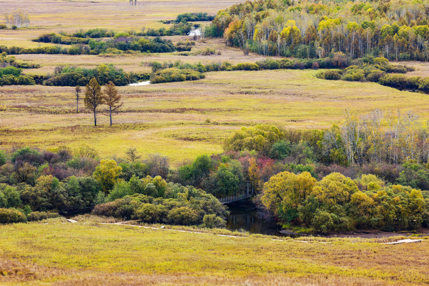 In pics: magnificent view of Greater Hinggan Mountains in NE China's Heilongjiang