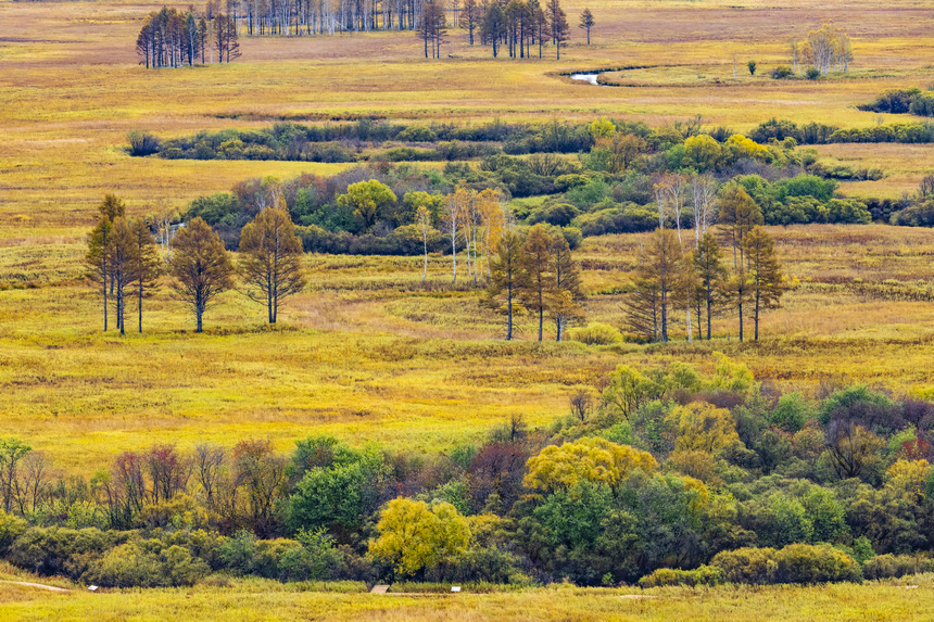 In pics: magnificent view of Greater Hinggan Mountains in NE China's Heilongjiang