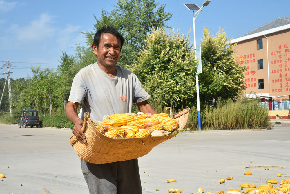 Bumper harvests bring big smiles to farmers across China