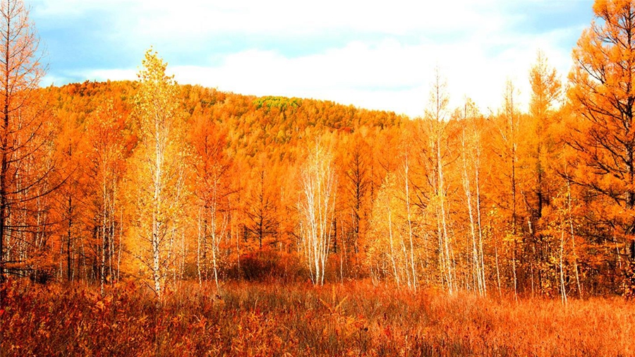 Breathtaking autumn scenery of Greater Hinggan Mountains in Inner Mongolia