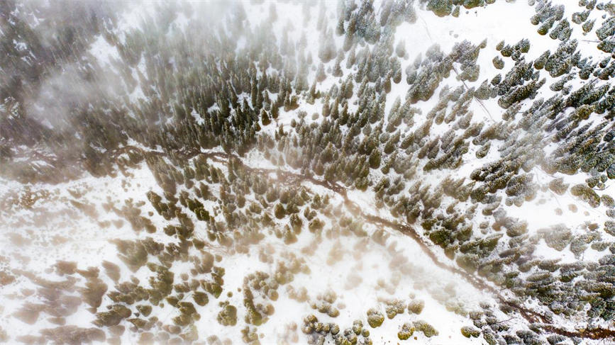 Snow turns Duolang Canyon in China's Xinjiang into 'colorful oil painting'