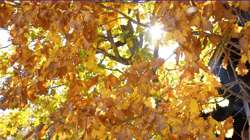 Picturesque autumn scenery in NE China's Heilongjiang