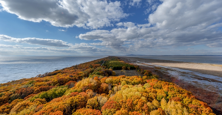 Splendid autumn scenery in Jixi, NE China's Heilongjiang