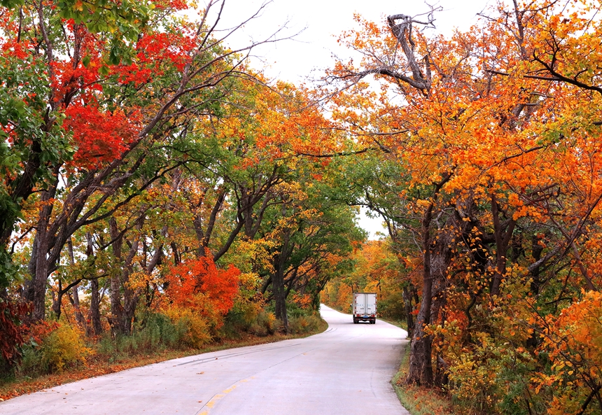 Splendid autumn scenery in Jixi, NE China's Heilongjiang