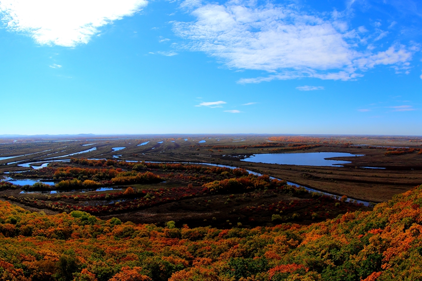 Splendid autumn scenery in Jixi, NE China's Heilongjiang