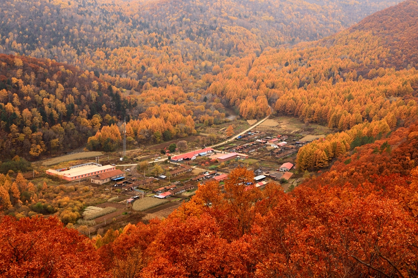 Splendid autumn scenery in Jixi, NE China's Heilongjiang