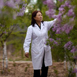 Forestry expert introduces new lilac varieties to inhospitable land in Qinghai