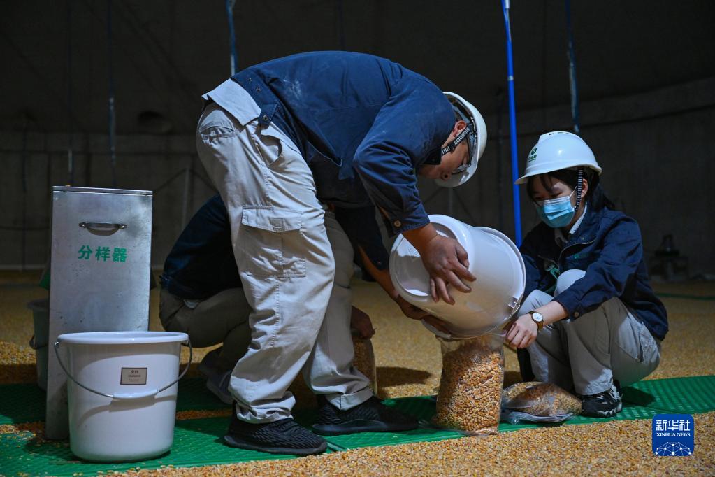 In pics: A glimpse of grain reserve depot in Fuzhou, SE China's Fujian 