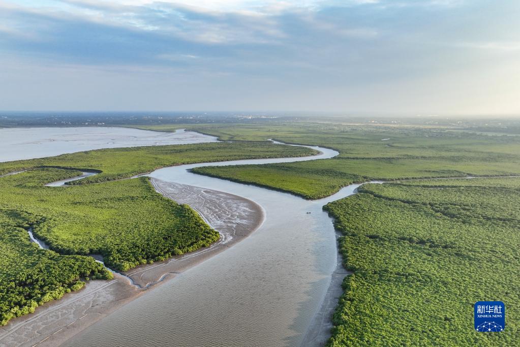 Migratory birds arrive at national wetland nature reserve in Hainan to spend winter