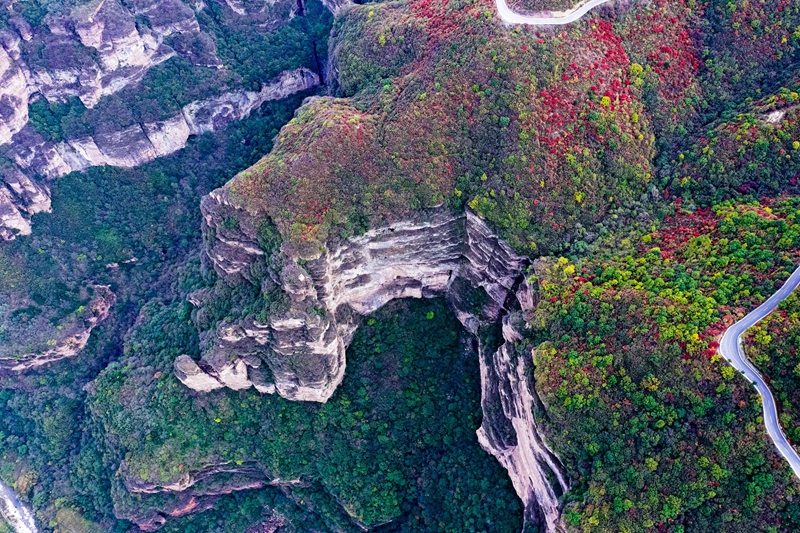 Best time to enjoy beautiful red leaves across China