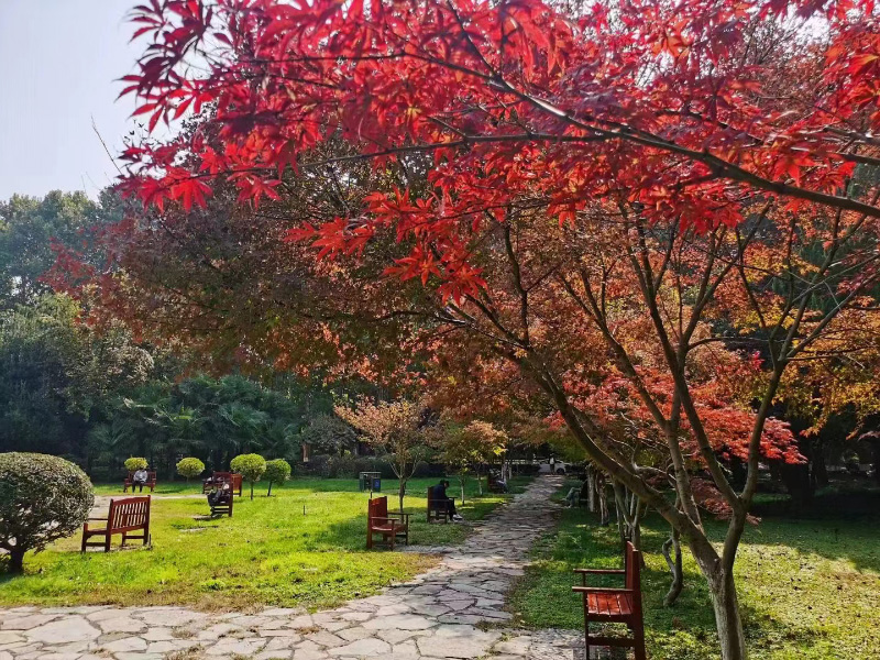 Breathtaking autumn views of 22 universities across China