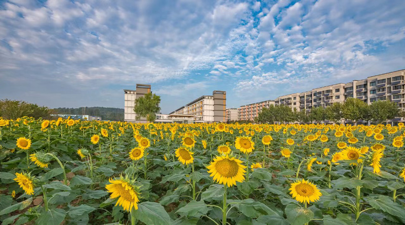 Breathtaking autumn views of 22 universities across China