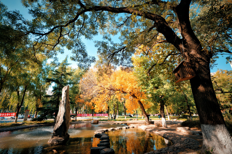 Breathtaking autumn views of 22 universities across China