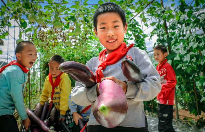 Labor education at primary school in SW China's Yunnan gives students all-round development