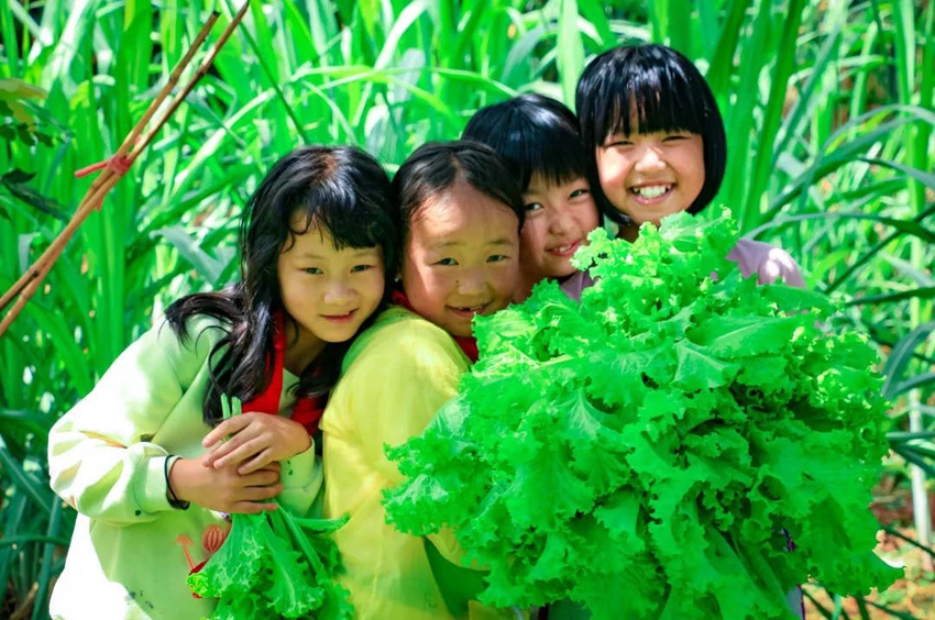 Labor education at primary school in SW China's Yunnan gives students all-round development