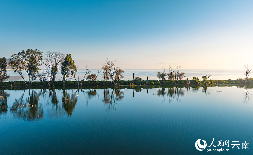 Wetland park in SW China's Yunnan offers picturesque scenery