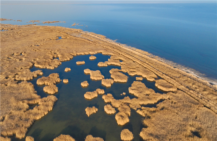 Gorgeous early winter views of Bostan Lake National Wetland Park in China's Xinjiang