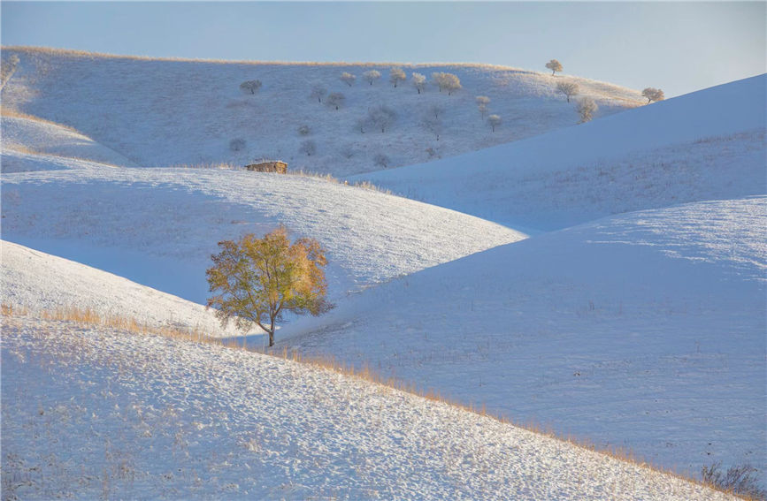 First snow turns 'Apricot Valley' in China's Xinjiang into 'beautiful painting'