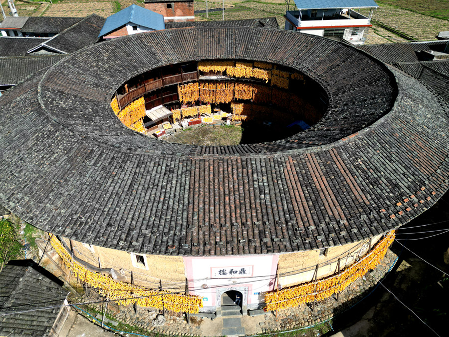 Golden corn cobs add festive color and charm to rural dwellings in SE China’s Fujian