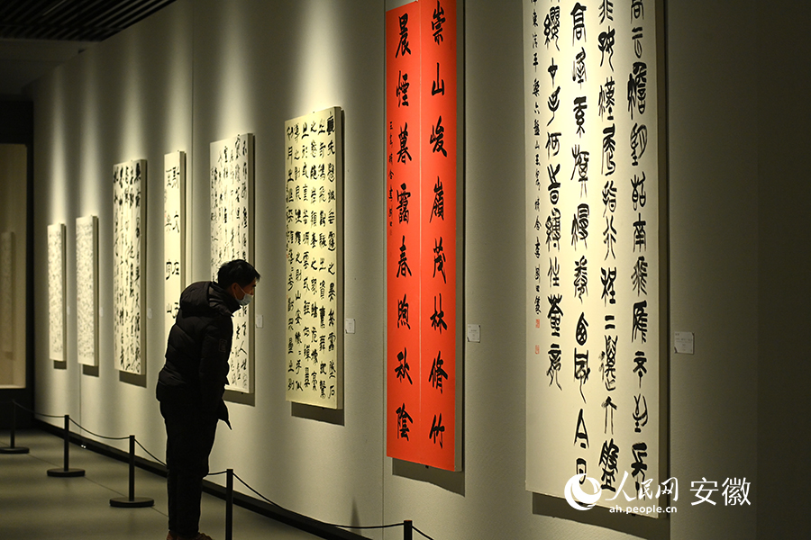 Citizens enjoy cultural feast at art museum in E China's Suzhou during Spring Festival holiday