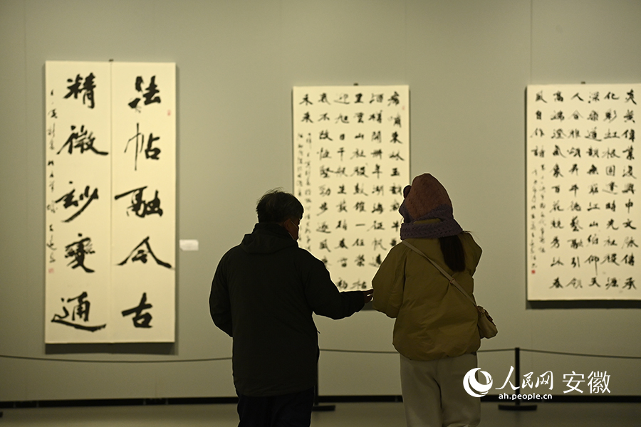 Citizens enjoy cultural feast at art museum in E China's Suzhou during Spring Festival holiday