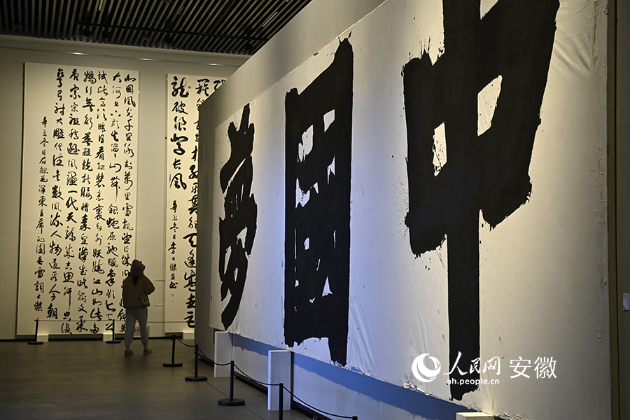 Citizens enjoy cultural feast at art museum in E China's Suzhou during Spring Festival holiday