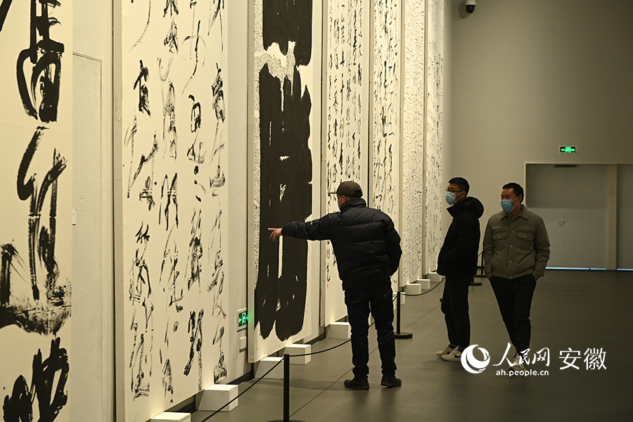 Citizens enjoy cultural feast at art museum in E China's Suzhou during Spring Festival holiday