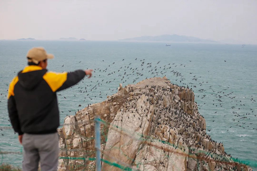 County in SE China's Fujian sees progress in protection of migratory birds