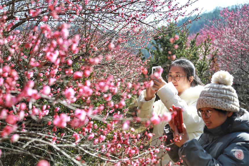 Tourists admire blossoming flowers in E China's Jiangxi