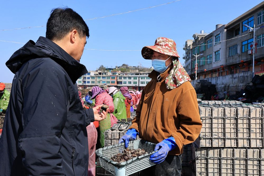 Fishermen busy sorting abalone fingerlings in Lianjiang county, SE China's Fujian