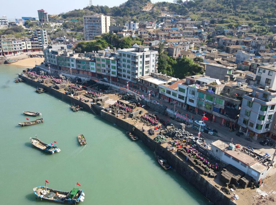 Fishermen busy sorting abalone fingerlings in Lianjiang county, SE China's Fujian