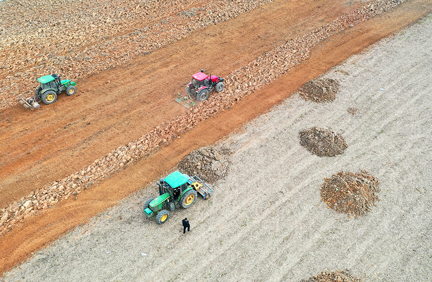 Agricultural machinery helps farmers plant sugarcane efficiently in S China's Guangxi