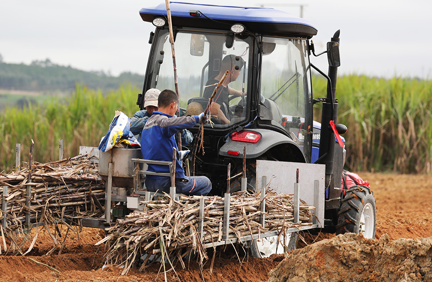 Agricultural machinery helps farmers plant sugarcane efficiently in S China's Guangxi