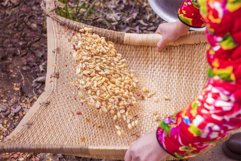 A sweet way for villagers in E. China's Rizhao to wish for happiness in the new year