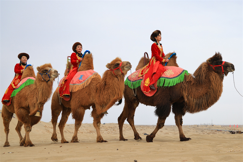 Bohu county in NW China's Xinjiang sees a boom in desert tourism