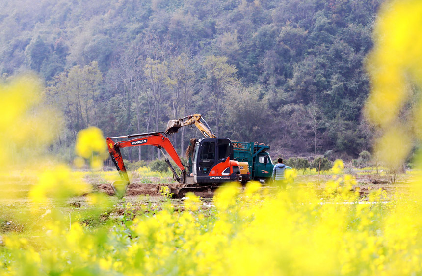 Village in S. China's Guangxi reclaims over 100 mu of abandoned farmland