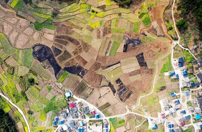 Village in S. China's Guangxi reclaims over 100 mu of abandoned farmland